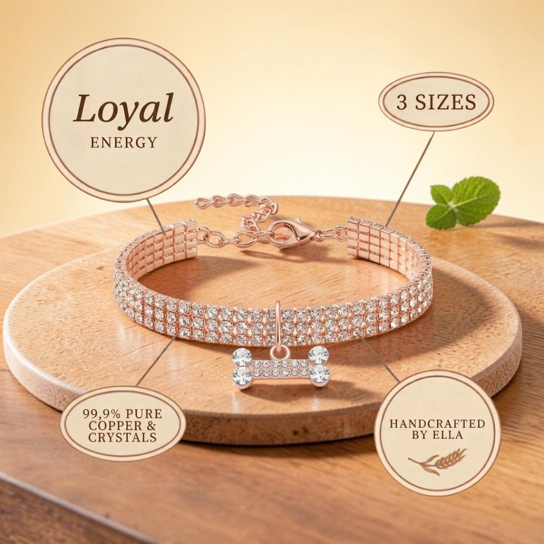 Collar Fiel de Cobre para Perro